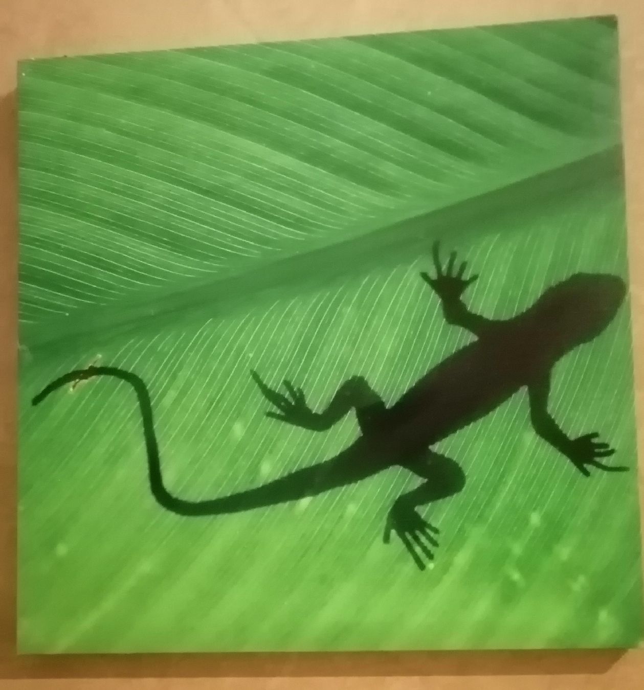 Tutte le decorazioni: Geko auf Palmenblatt – Usato da Suhr venduto da bic6