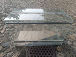 Terrarium Mittelgross: 80cm x 40cm x 50cm