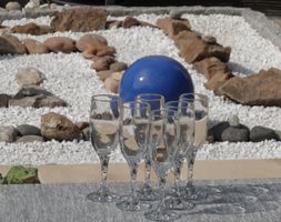 Aus der Glasvitrine: 6 neuwertige Champagner-Kelche