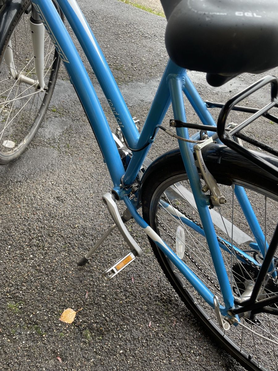 Biciclette: Damen Velo – Nuovo (secondo la descrizione) da Schupfart venduto da famueller 6