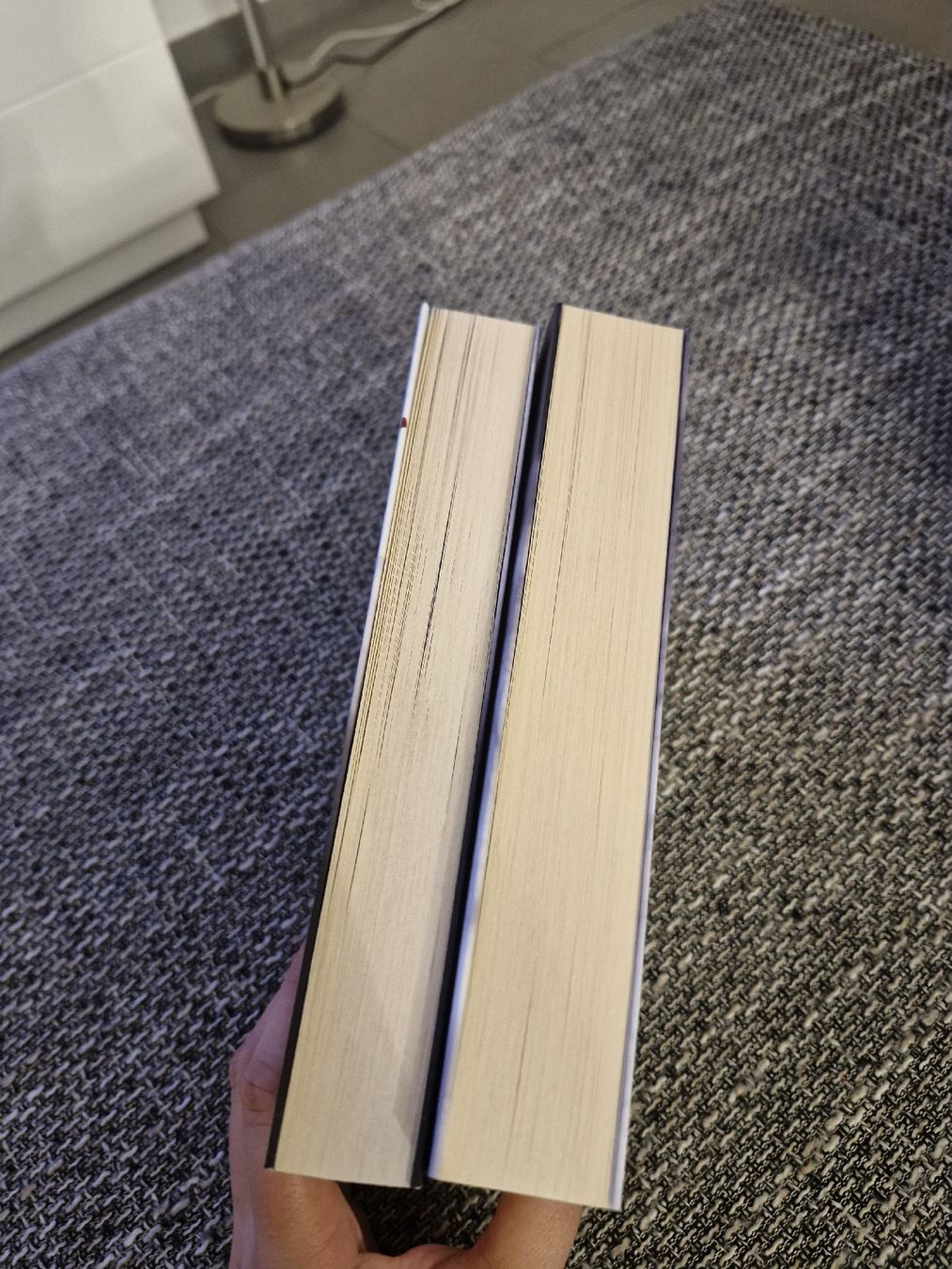Livres: verkaufe Little Stranger Duologie – Neuf (Voir description) à Boswil par mir_z8w2 2