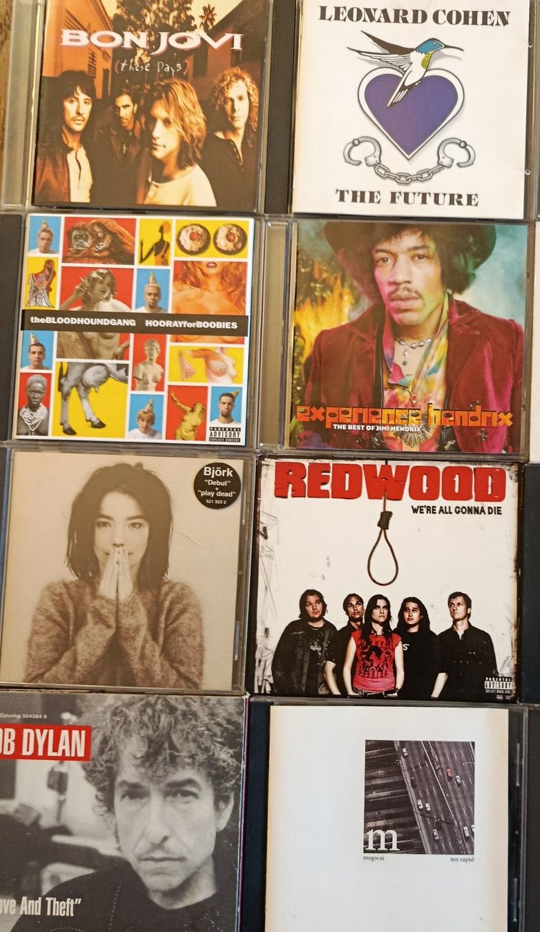 CD: Lot  CD Rock – Usato da Gingins venduto da Demonseed 2