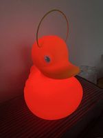 Goodnight lights duck-duck  ente