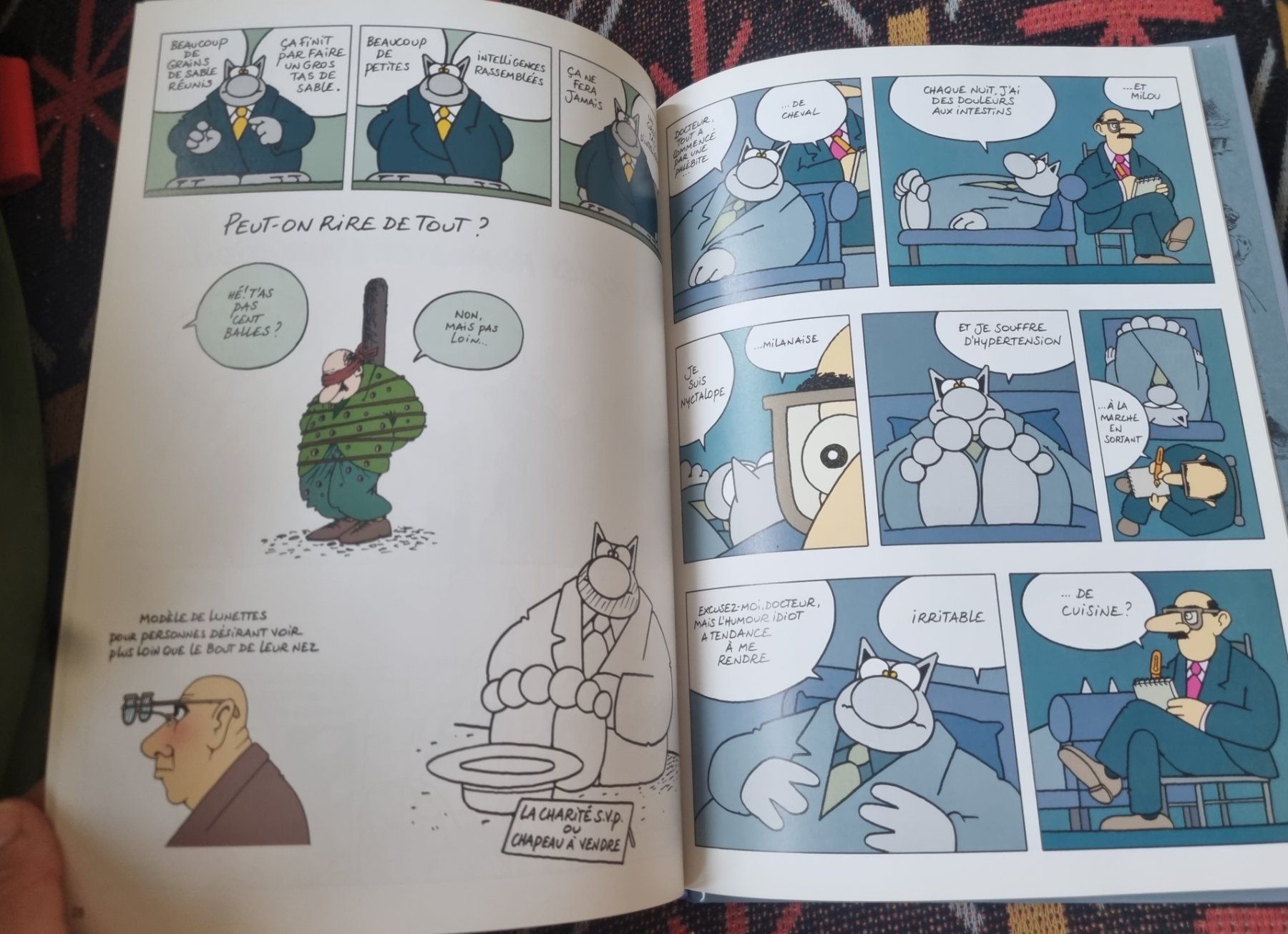 Fumetti: BD "Et vous, Chat va?" Geluck – Usato da Fribourg venduto da sal_5ln6 5