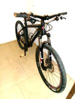 Trail Bike " Neu "