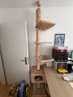 Katzenbaum