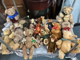 Grosse Bärenfamilie & ein Affe
