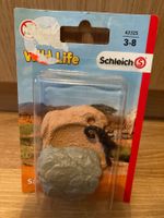 Schleich 42325 Skorpionhöhle