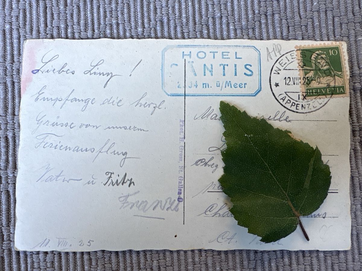 Cartoline postali: AK Gasthaus auf Säntis – Usato da Rümlang venduto da Brieftaube1 1