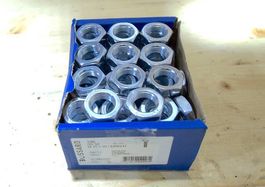 🔩 100x Schrauben BN56 M10 x 20 DIN S17 – NEU