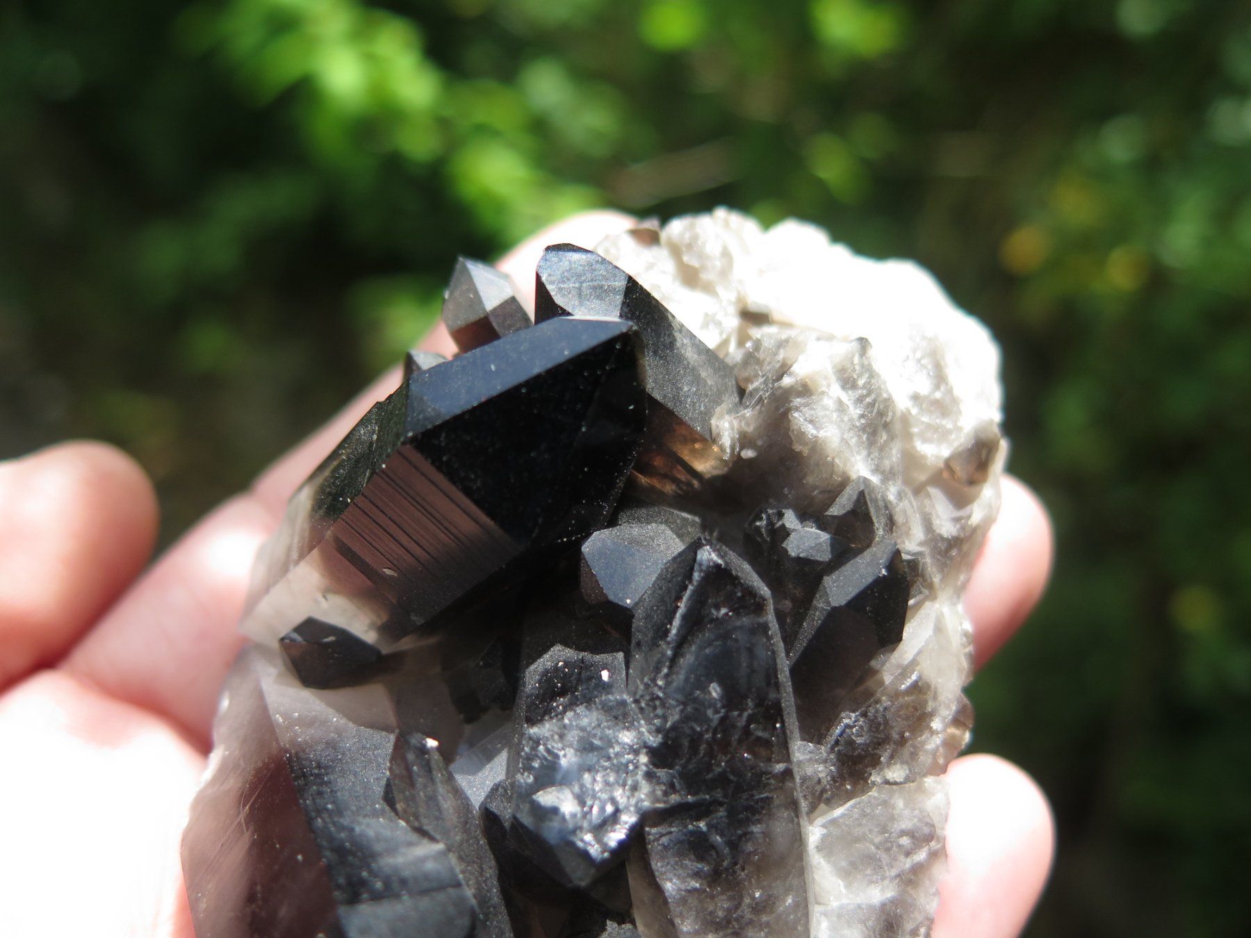 Mineralien & Heilsteine: Rauchquarz "Morion" von USA – Gebraucht aus Schaffhausen von Yamakana51L8736OQ8 2