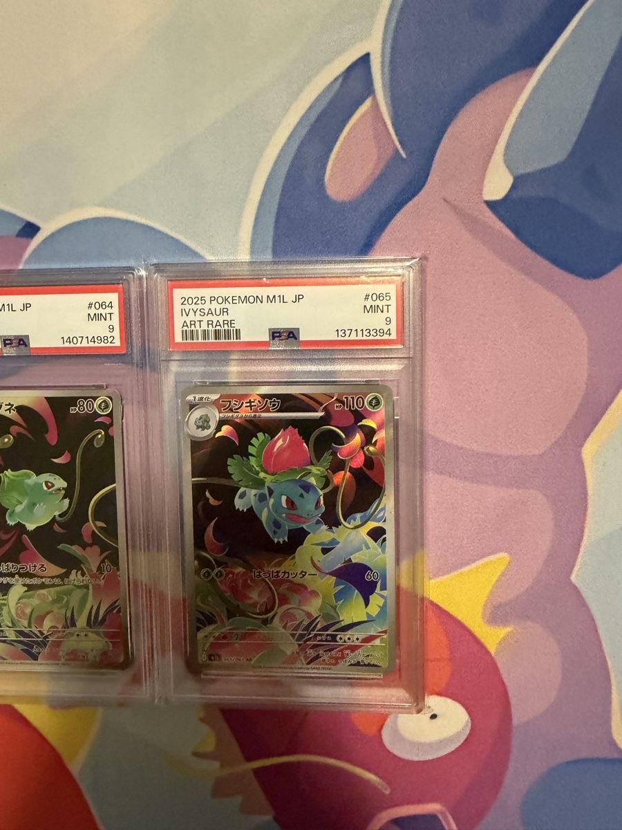 Pokémon Sammelbilder & Trading cards: Pokemon Karten M1L Mega Evolution Bulbasaur Ivysaur PSA  – Gebraucht aus Muttenz von keve999 4