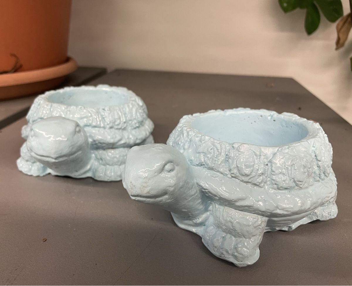 Blumentöpfe: 2 Süesse Schildkröten Blumentöpfe 🐢💙 – Neu und originalverpackt aus Au ZH von  2