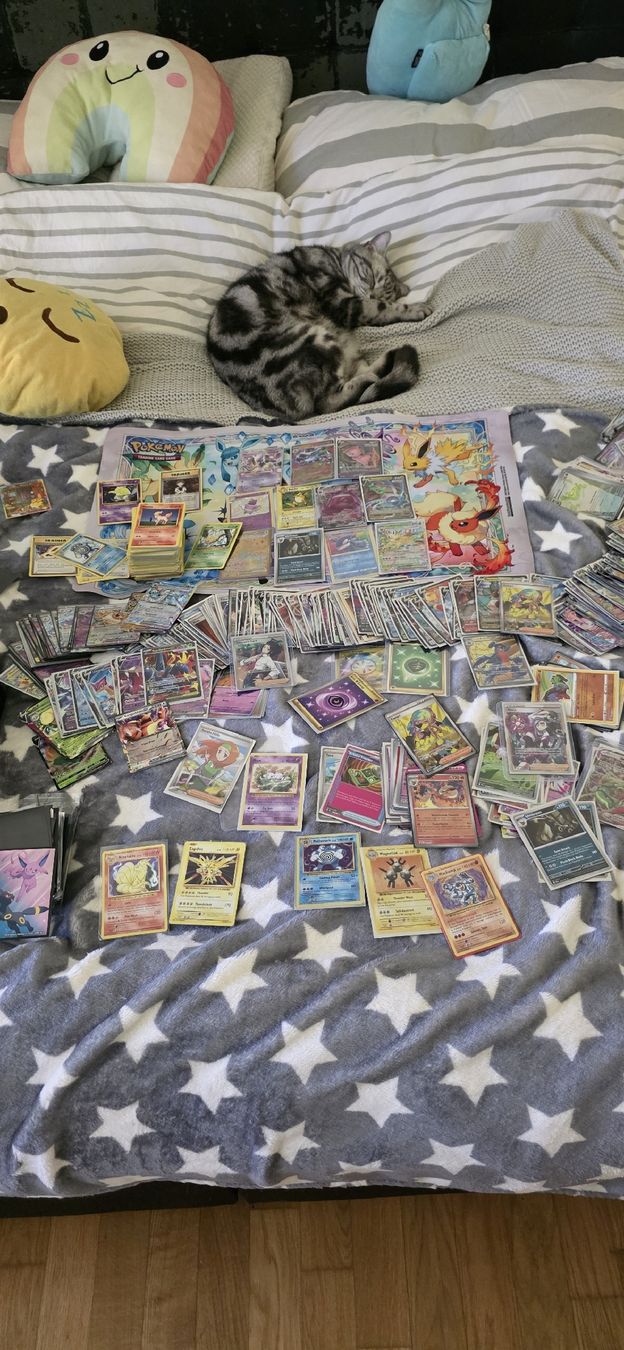 Pokémon Carte collezionabili: Pokemon Mystery Pack 10 hits – Nuovo (secondo la descrizione) da Gunzgen venduto da Stifflahking 4