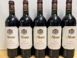 5 Flaschen Chateau Montus Madiran 2000 TOP