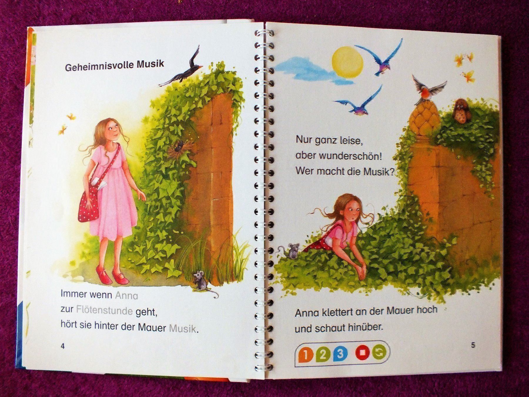 Libri: tiptoi Leserabe Buch - Im Garten der Feen – Usato da Müllheim Dorf venduto da Seeeule01 2