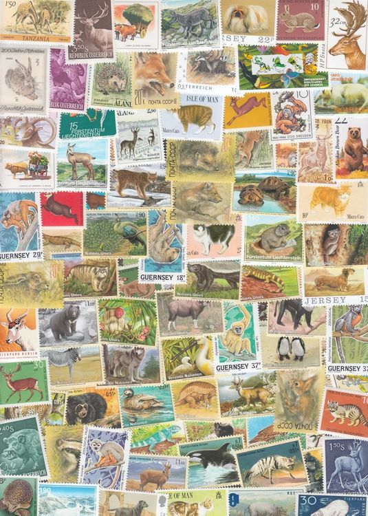 Prophila Collection Briefmarken – 50 Verschiedene Tiermotive (Säugetiere) Für Sammler