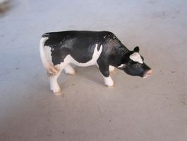 Kalb