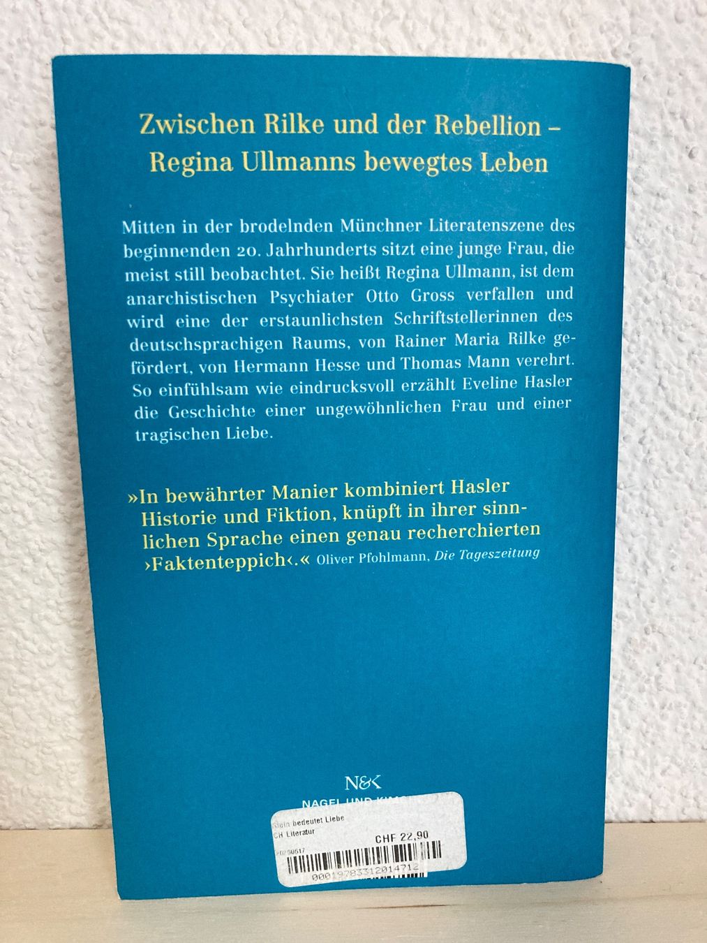 Libri: Stein bedeutet Liebe - Eveline Hasler ROMAN – Usato da Frauenfeld venduto da AlphaCentauri369 1