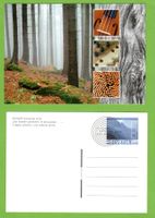 2004 FDC + Ganzsache Rohstoff Schweizer Holz s. Bilder LP