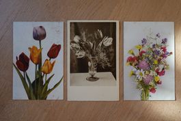 3 Postkarten antik: Blumenmotive Tulpen Klee Margeriten