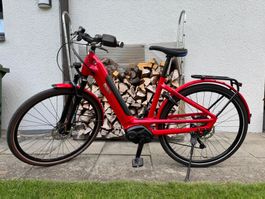 E-Bike Cresta eCorso Neo SLX