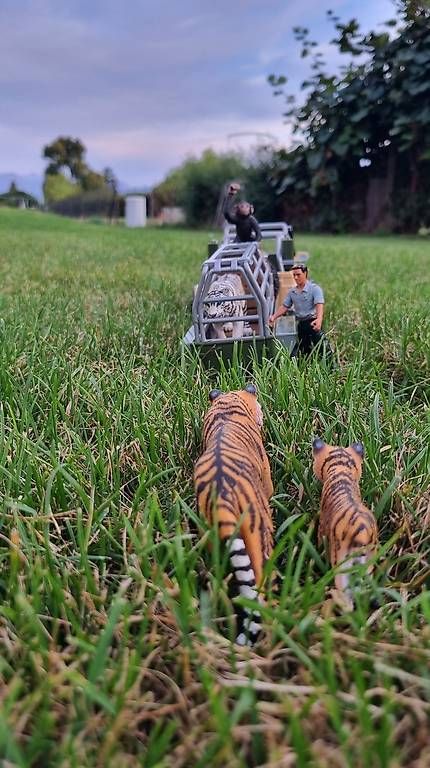 Giocattoli: Jeep Schleich wildlife avec remorque  – Usato da St-Sulpice VD venduto da rog_c28g 3