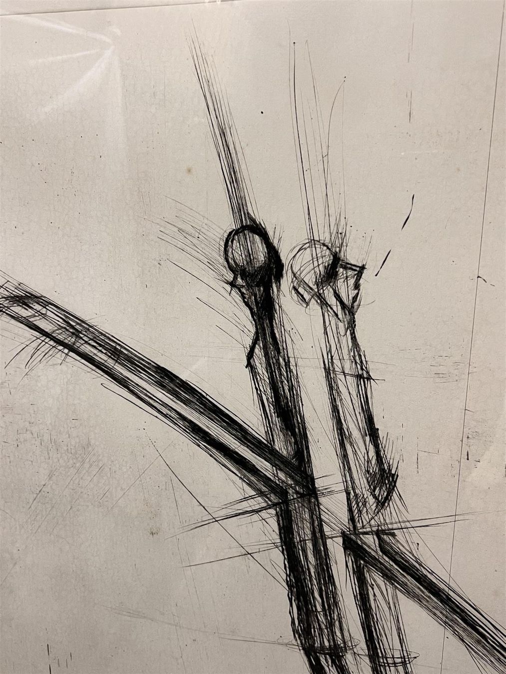 Foto & Immagini: Schang Hutter Riesige Radierung 101 cm – Usato da Adliswil venduto da buch_und_kunst 4