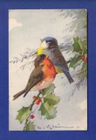 OISEAU - Mésange et Rouge-Gorge par Klein // dos blessé //