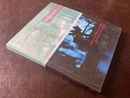 Pascal Danz, Der zweite Blick - The second View