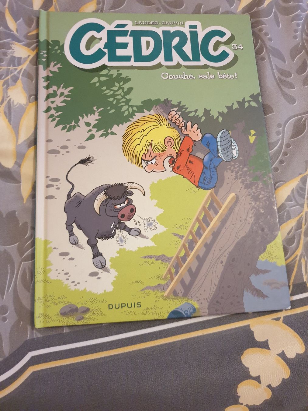 Libri: Livre Cedric – Nuovo (secondo la descrizione) da Fribourg venduto da mal_8zjh