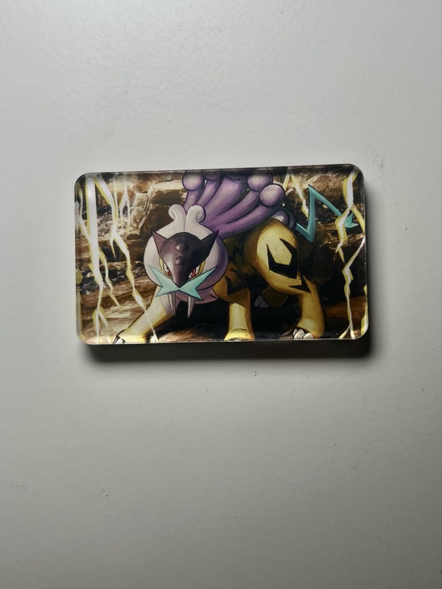 Pokémon Carte collezionabili: Pokemon Raikou Magnet – Nuovo (secondo la descrizione) da Langenthal venduto da EceSuzu