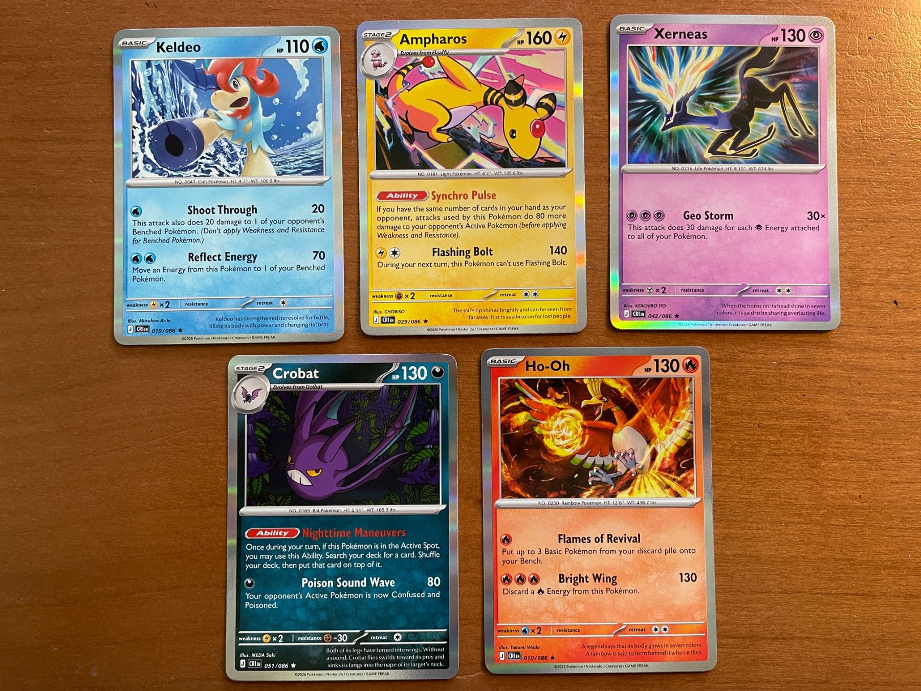 Pokémon Carte collezionabili: Pokemon Karten Set Holo (Versand gratis) – Nuovo (secondo la descrizione) da Chur venduto da Angerson