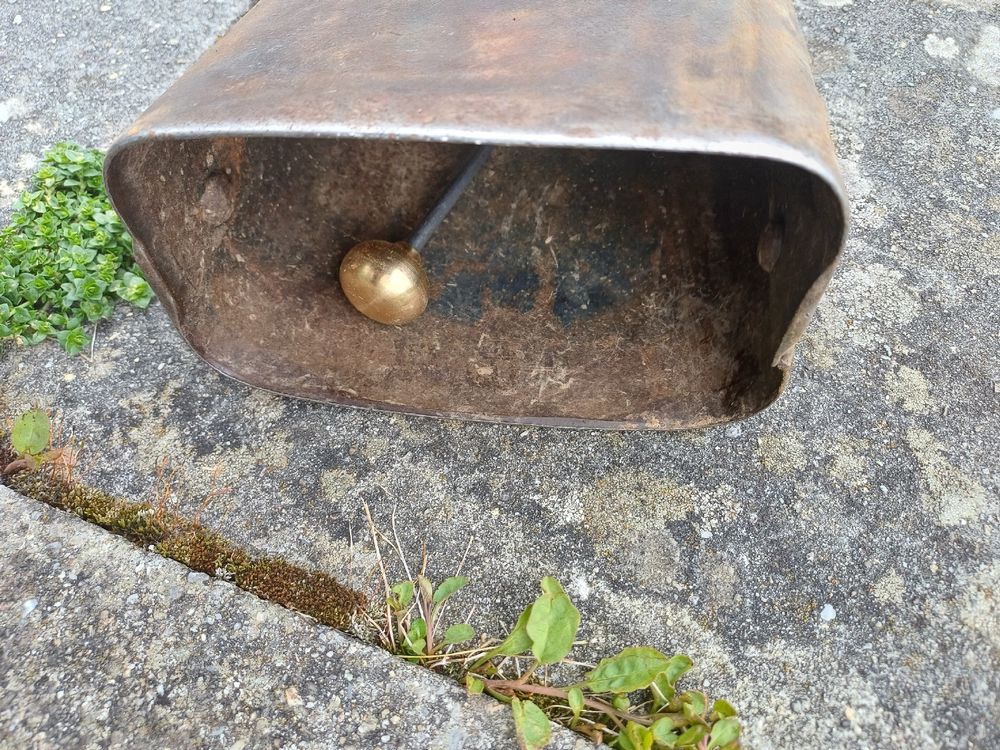 ASM N°6 Kaufen auf Ricardo