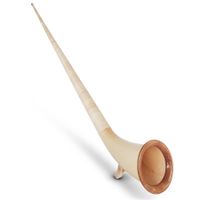 Alphorn RIEGER Professional Tonart Fis/Ges KOMPLETTSET
