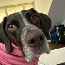 Profile image of col_2k7z