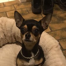 Profile image of OMMO