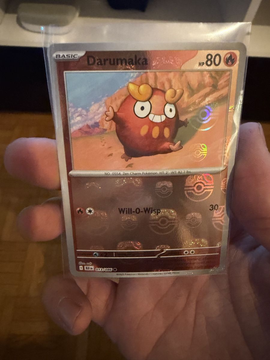 Pokémon Carte collezionabili: Carta Pokémon Darumaka  – Nuovo (secondo la descrizione) da Bellinzona venduto da sa_2025h