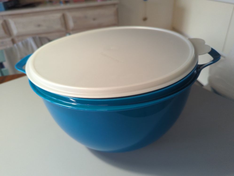 Schussel Mit Deckel 10l