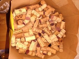 Gebrauchte Wein-Korkzapfen