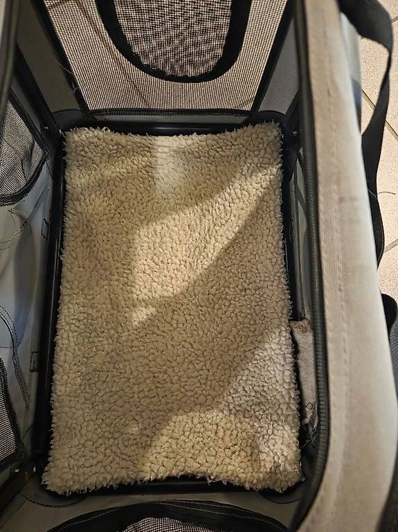 Gabbie, trasporto & Sicurezza: Hunde Transportbox  – Usato da Schwarzenbach venduto da Raffi440 2