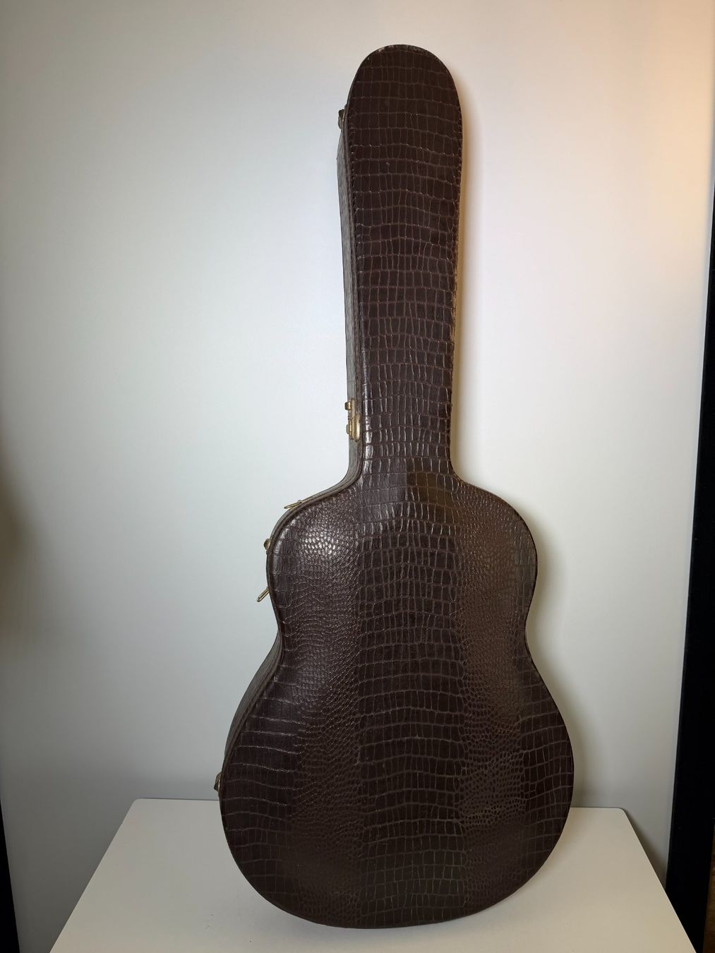 Vintage Strumenti musicali: Seltene Vintage Archtop E-Gitarre mit Koffer – Usato da Basel venduto da IRMAundFRED 8