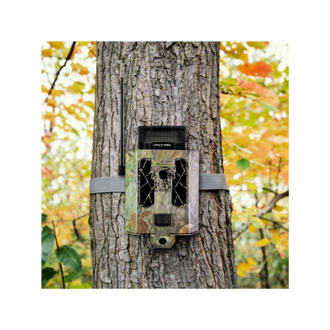 Fotocamera: SPYPOINT Metallgehäuse SB-200 – Nuovo e nell'imballaggio originale da Balsthal venduto da allmedba