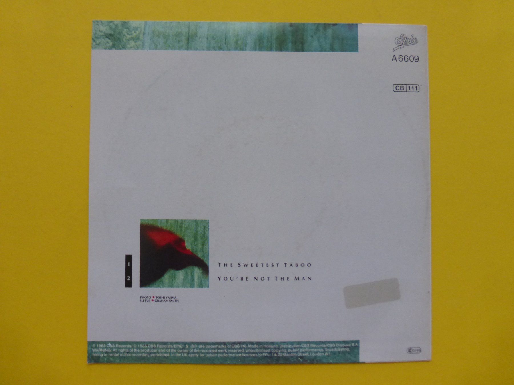 Dischi in vinile: Sade – The Sweetest Taboo – Usato da Zürich venduto da Swiss57 1