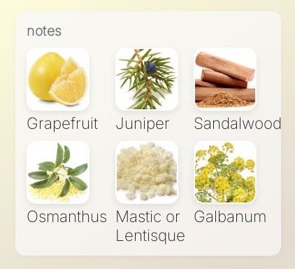 Parfum & Eau de Toilette: Escentric 04 by Escentric Molecules 20 ml sample – Neu (gemäss Beschreibung) aus Chêne-Bougeries von Seetooyoo 4