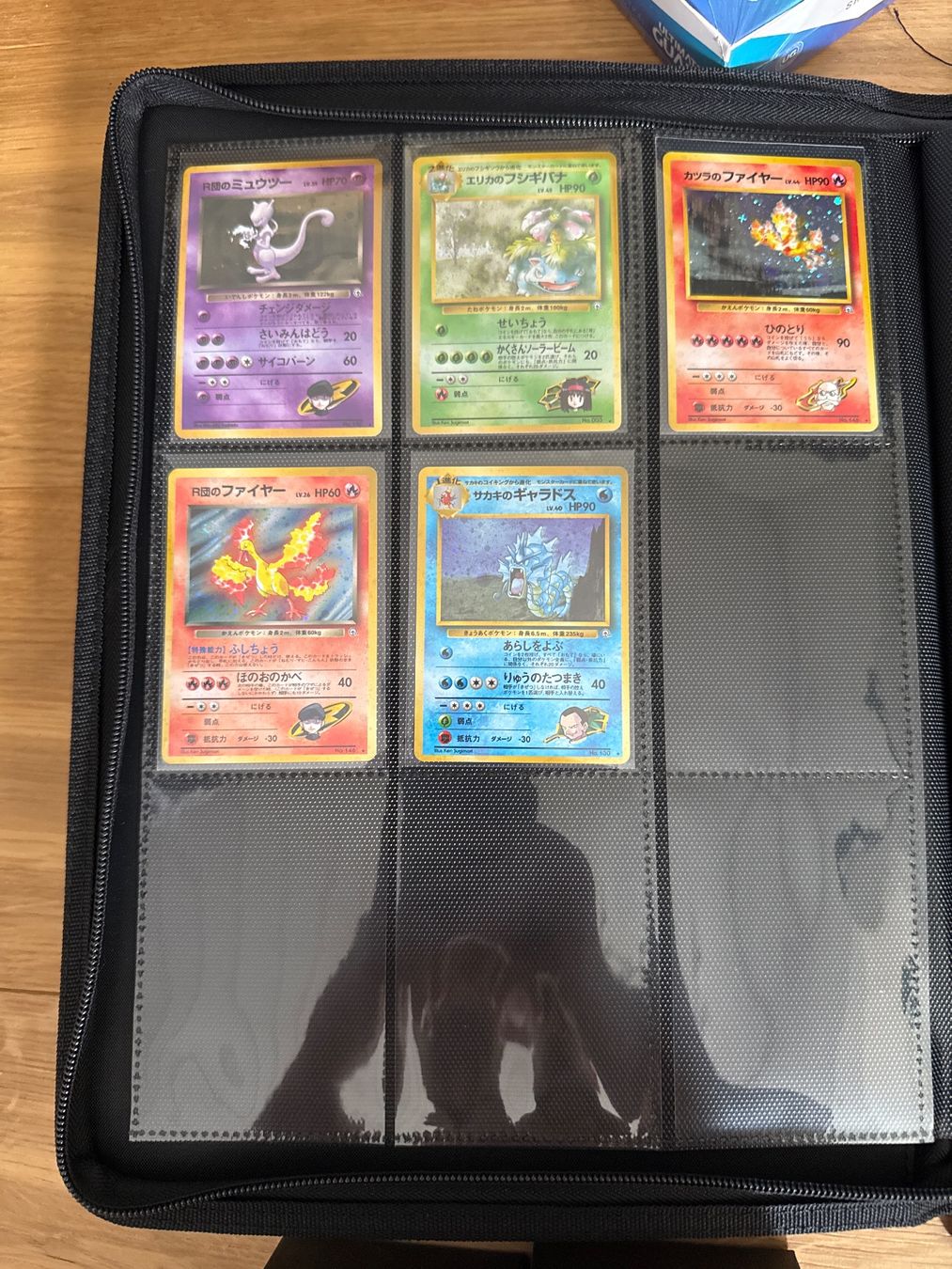 Pokémon Carte collezionabili: Pokemon Sammlung – Usato da Steinmaur venduto da lar_52ky 4