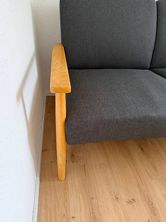 Divani: Bettsofa 210cm – Usato da Sirnach venduto da Terox 2