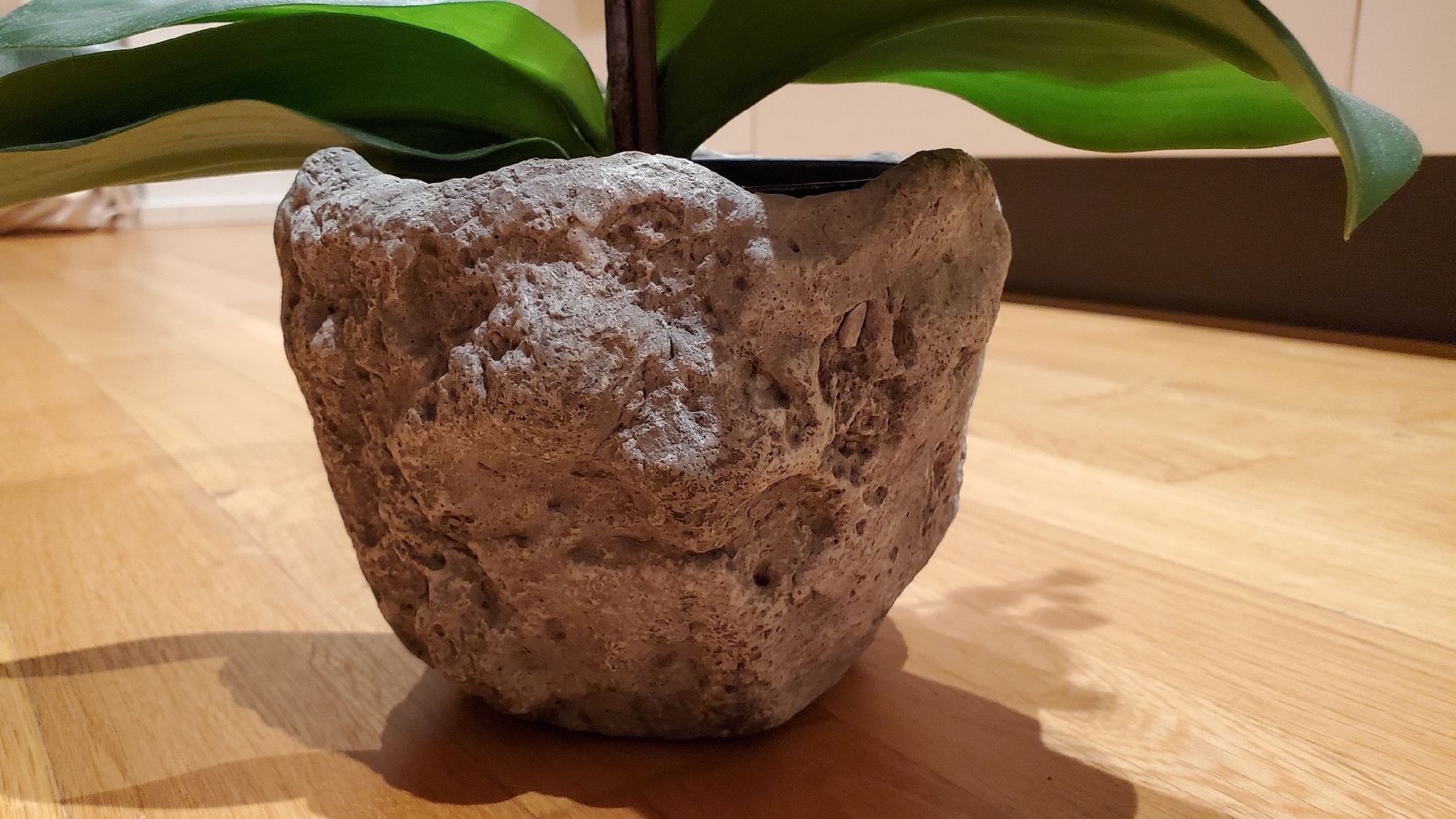 Alle Dekorationen: Künstliche Orchidee weiss mit Steinübertopf – Gebraucht aus Uster von lof_2xmz 2