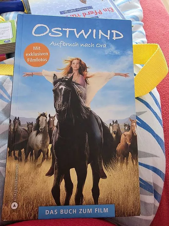 Libri: Bücher divers 2 – Usato da Safenwil venduto da Brumanu01 4