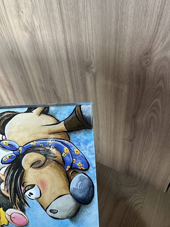 Libri: Buch "Dss große Buch von Diddl und seinen Freunden" – Usato da Zollikerberg venduto da sop_p82l 4